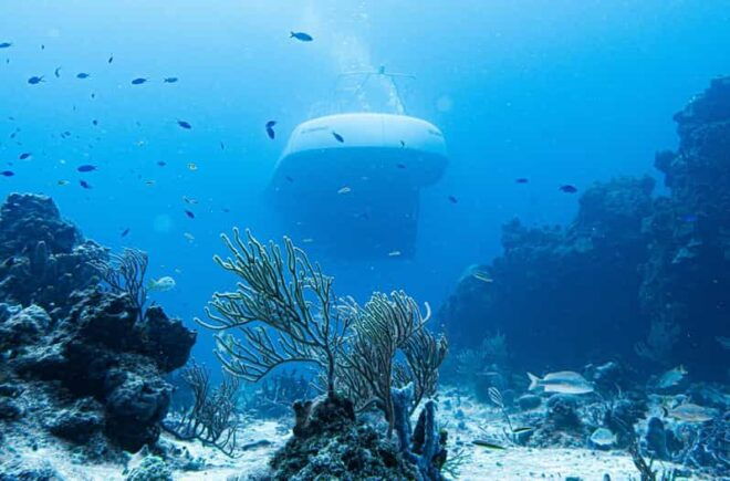 Cozumel: Atlantis Submarine Adventure - Itinerary and Experience