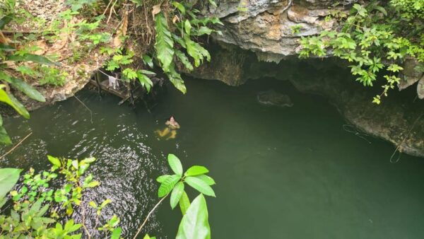 Cozumel Atv off Road Adventure to Jade Cavern - ATV Rental Policies