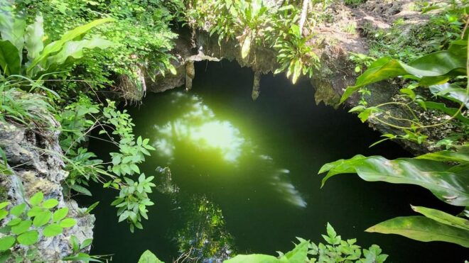 Cozumel Atv to Jade Cavern , Tequila and Beach Getaway - Meeting Information