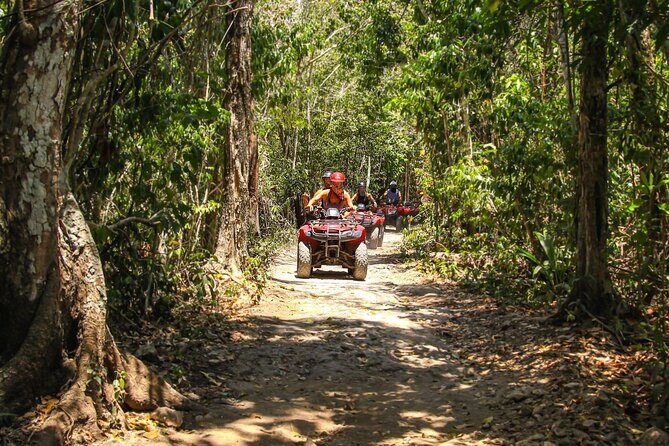 Cozumel ATV Tour & Beach Break - Who Might Want to Think Twice?