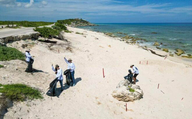 Cozumel Beach Guardians: Making a Difference Together - Tour Activities