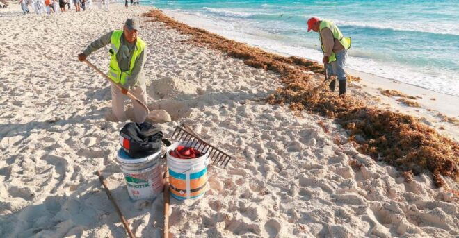 Cozumel Beach Guardians: Making a Difference Together - Tour Inclusions