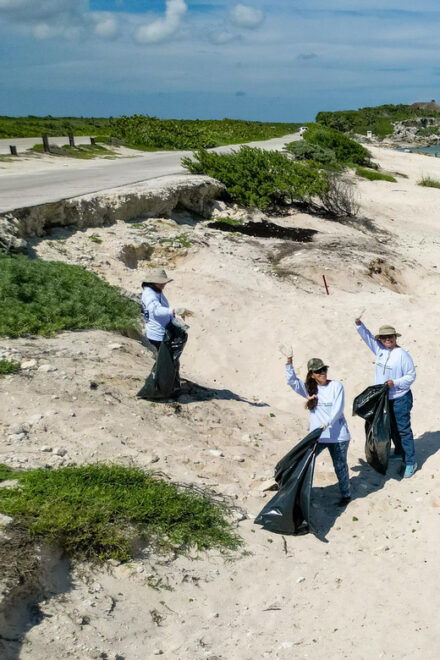 Cozumel Beach Guardians: Making a Difference Together - Participant Guidelines