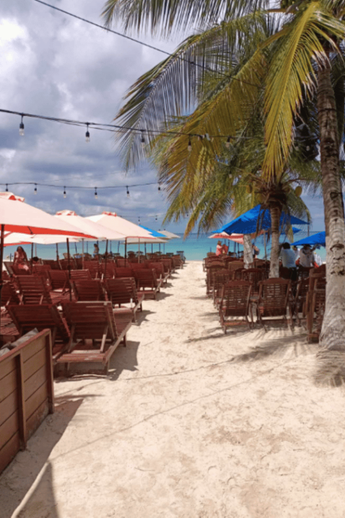 COZUMEL: BEACH TIME TOUR - Experience Highlights