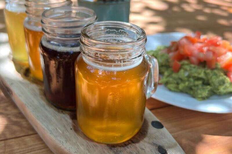 Cozumel: Beer, Mezcal, and Taco Experience - Who Should Consider This Tour?