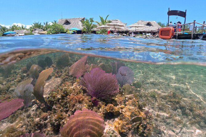 Cozumel Buggy Tour - Frequently Asked Questions