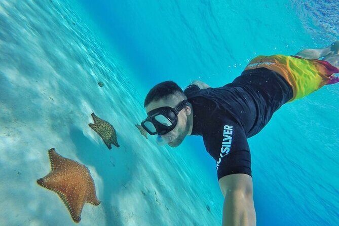 Cozumel by transparent boat and snorkeling in the sky with lunch. - Good To Know