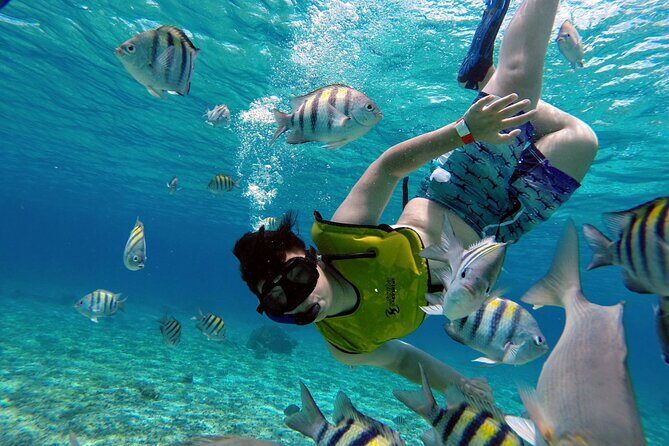 Cozumel by transparent boat and snorkeling in the sky with lunch. - A Complete Look at the Cozumel Snorkeling Tour