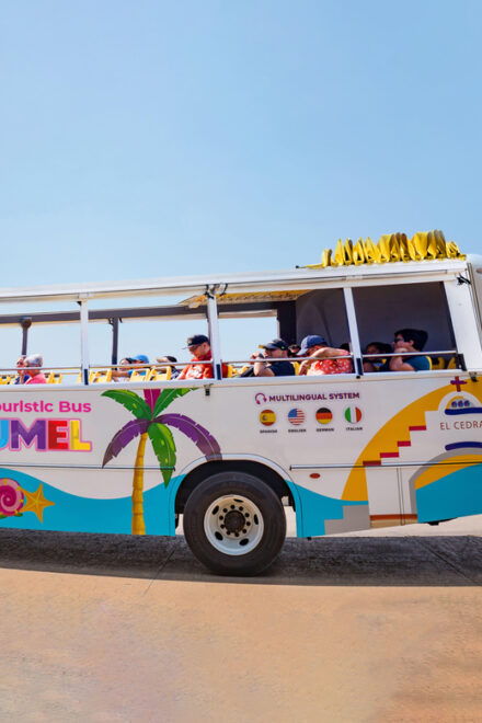 Cozumel: Caribbean Style Hop on Hop off & Beach Break - Tour Guide and Language Options