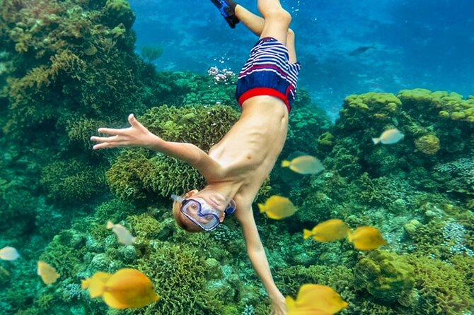 Cozumel Catamaran Experience With Snorkeling & Beach Club - Activities and Experiences