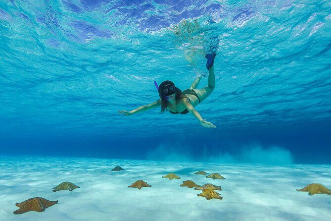 Cozumel Catamaran Snorkel Tour: El Cielo & Palancar with lunch - What to Expect from the Itinerary