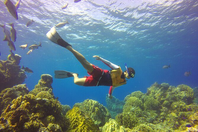 Cozumel Catamaran Snorkel Tour: El Cielo & Palancar with lunch - What’s Included and Whats Not