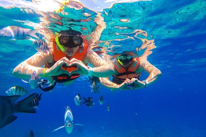 Cozumel Catamaran Tour: Snorkel at Top Reefs & Open Bar - Who Should Book This Tour?