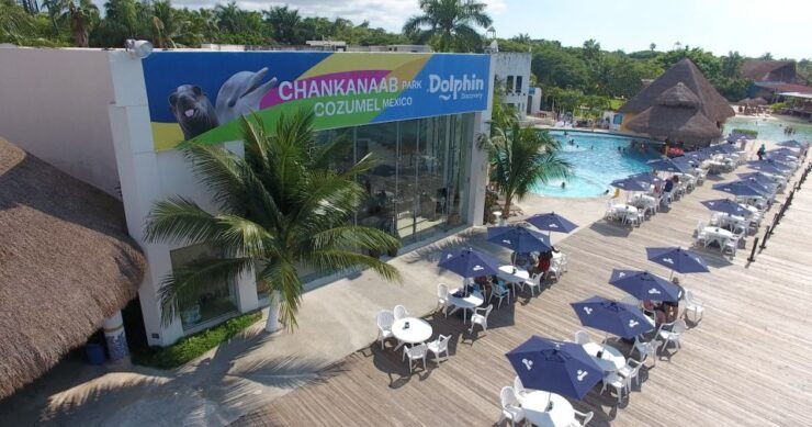 Cozumel: Chankanaab Park General Admission Entry Ticket - Park Experience