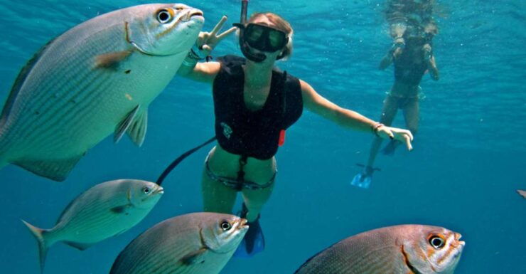 Cozumel: Chankanab Park Day Pass and Snorkeling - Ticket Information