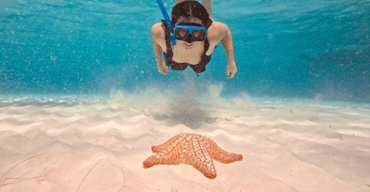 Cozumel: Cielo & Palancar Snorkel With Snack & Drinks - Itinerary and Locations