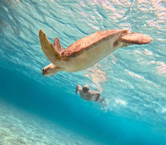 Cozumel: Cielo & Palancar Snorkel With Snack & Drinks - Highlights and Experience