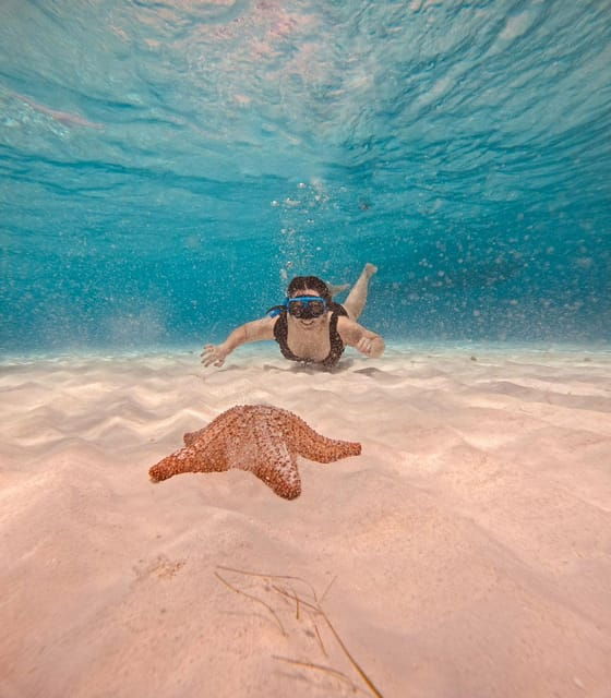 Cozumel: Cielo & Palancar Snorkel With Snack & Drinks - Exploring El Cielo Sandbar