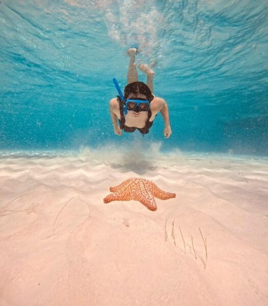 Cozumel: Cielo & Palancar Snorkel With Snack & Drinks - Customer Ratings and Feedback