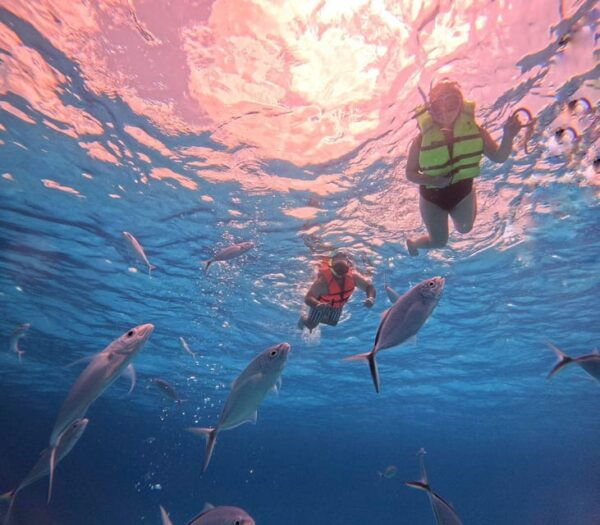 Cozumel: Cielo & Palancar Snorkel With Snack & Drinks - Frequently Asked Questions
