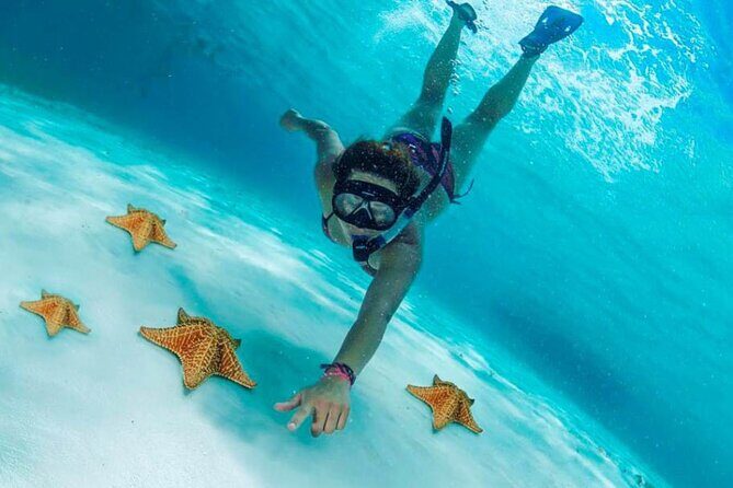 Cozumel Cielo Snorkel Adventure from Cancun and Rivera Maya - Good To Know