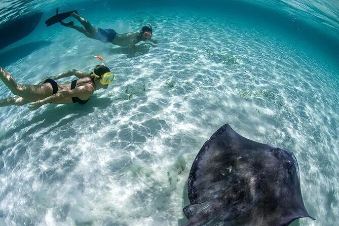 Cozumel Cielo Snorkel Adventure from Cancun and Rivera Maya - Authentic Insights from Past Travelers