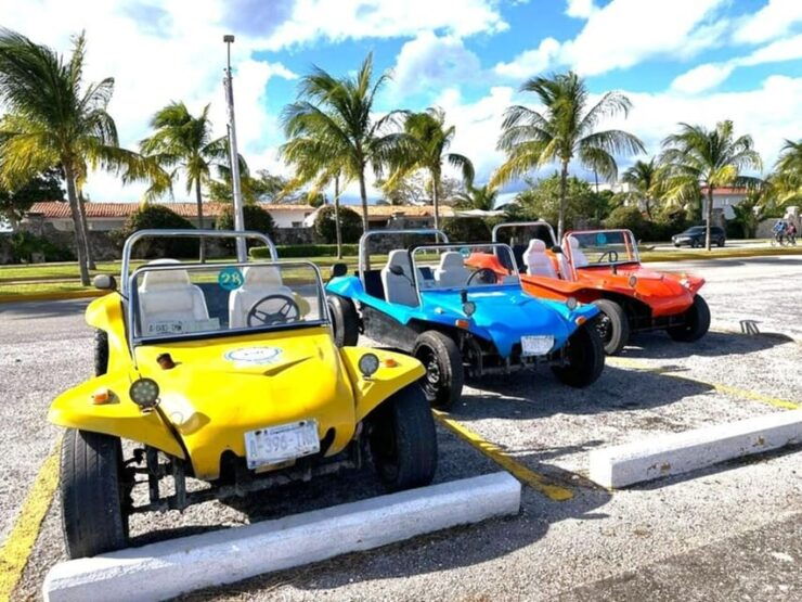 Cozumel: Classic Jeep or Buggy Island Tour to Punta Sur - Good To Know