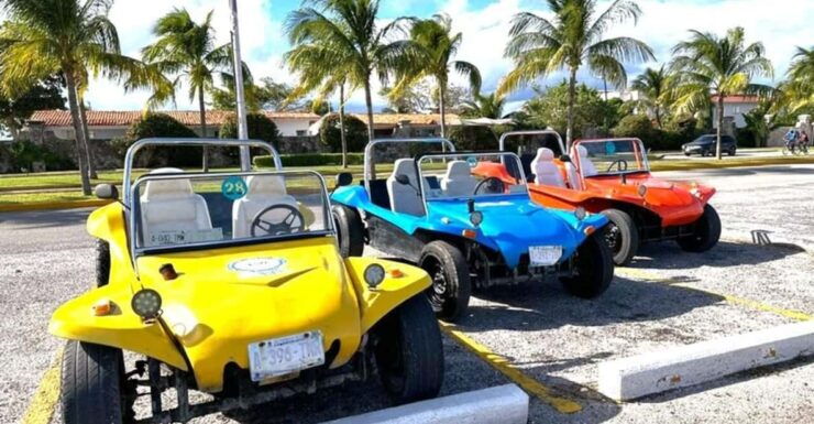 Cozumel: Classic Jeep or Buggy Island Tour to Punta Sur - Highlights and Activities