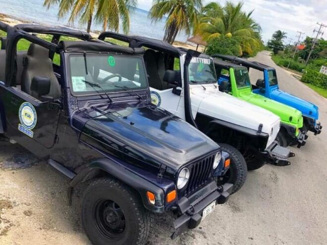 Cozumel: Classic Jeep or Buggy Island Tour to Punta Sur - Minimum Age and Weight Limits