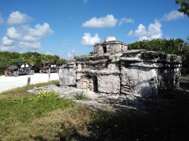 Cozumel: Classic Jeep or Buggy Island Tour to Punta Sur - Health and Mobility Restrictions