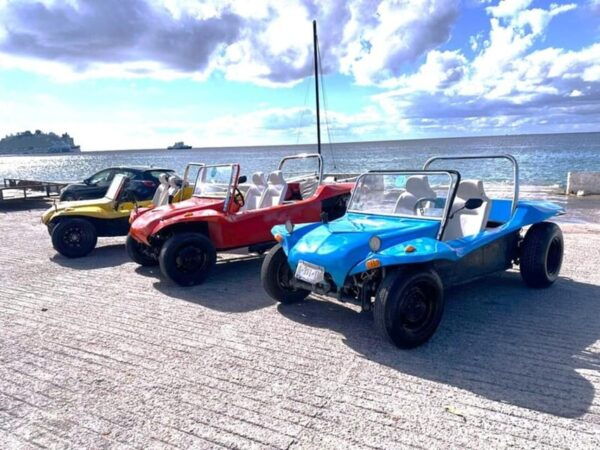 Cozumel: Classic Jeep or Buggy Island Tour to Punta Sur - Tour Policies and Guidelines