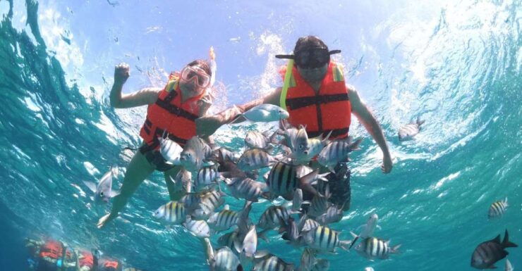 Cozumel: Clear Boat & Snorkel Tour - Tour Highlights and Inclusions