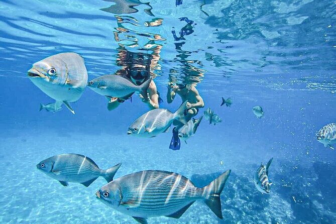 Cozumel Clear Boat Tour! Round Transportation From Cancun & Playa Del Carmen - Practical Details and Considerations