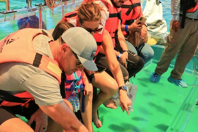 Cozumel Clear Boat Tour! Round Transportation From Cancun & Playa Del Carmen - FAQ