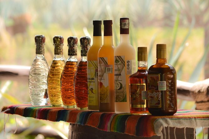 Cozumel Cultural Jeep Tour With Mayan Village and Mexican Lunch - Tequila Experience