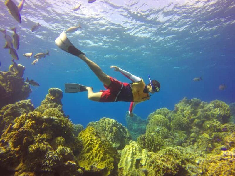 Cozumel: Day at El Cielo Bay - Authentic Experiences and Highlights