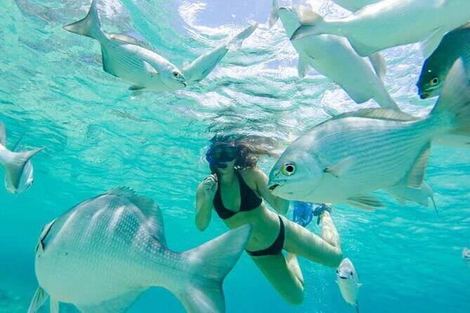 Cozumel: Day in Punta Sur Eco Park and Del Cielo Beach with Snorkeling - A Perfect Balance of Culture, Nature, and Relaxation