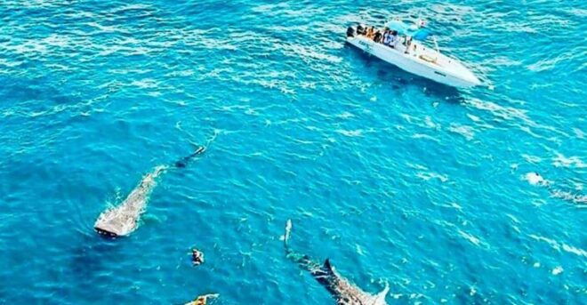 Cozumel: Discover Scuba Dive - What to Bring