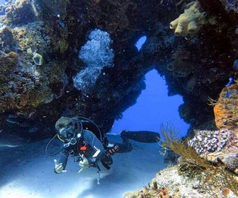 Cozumel: Discover Scuba Diving - Pricing and Value