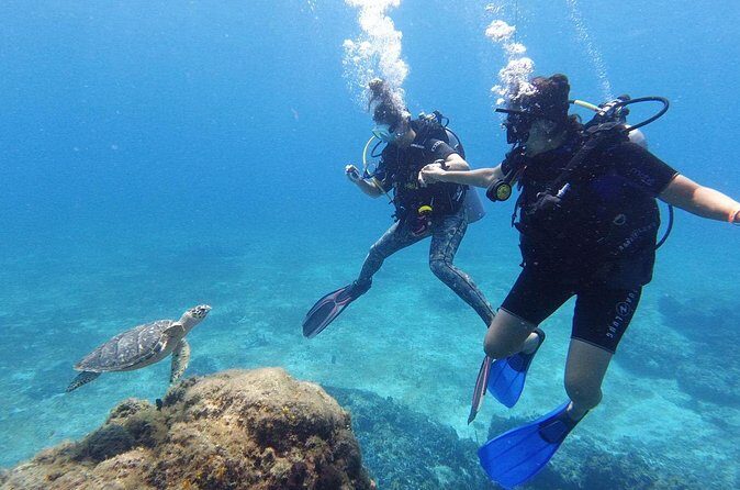 Cozumel: Discover Scuba Diving - Who Should Consider This Tour?