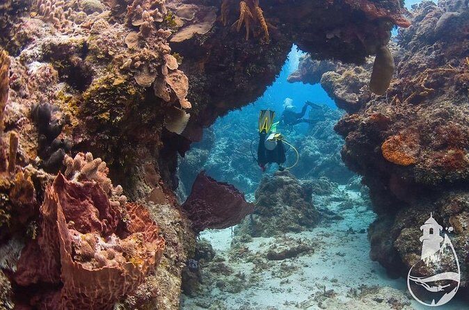 Cozumel: Discover Scuba Diving - Final Thoughts