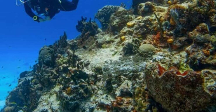 Cozumel: Discover Scuba Diving in Cozumels Pristine Waters - Good To Know