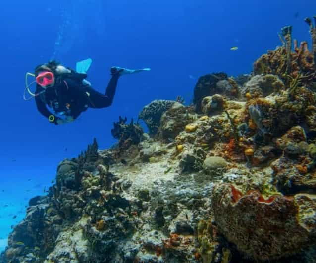 Cozumel: Discover Scuba Diving in Cozumels Pristine Waters - Booking and Flexibility