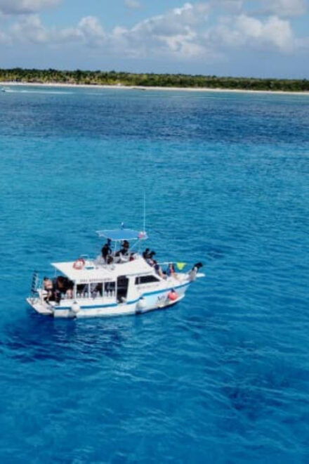 Cozumel: Discover Scuba Diving in Cozumels Pristine Waters - Dive Experience and Locations