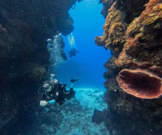 Cozumel: Discover Scuba Diving in Cozumels Pristine Waters - Inclusions