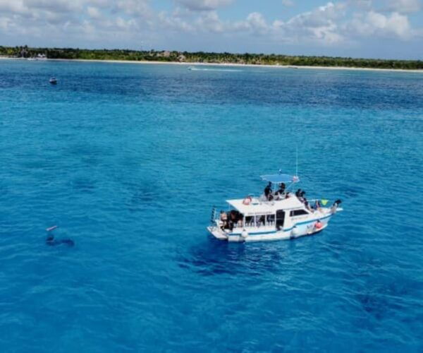 Cozumel: Discover Scuba Diving in Cozumels Pristine Waters - Frequently Asked Questions