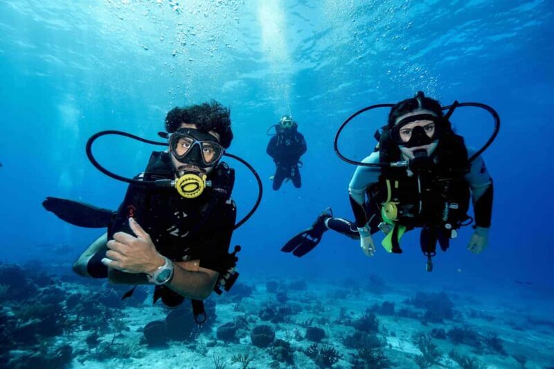 Cozumel: Discovery Scuba Diving. No experience required. - Authentic Insights from Previous Participants  