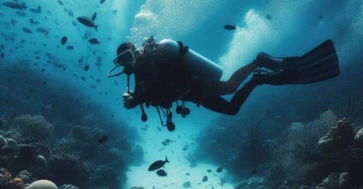 Cozumel: Diving Experience From Boat - Pricing and Duration