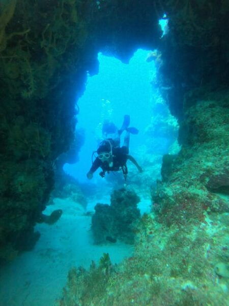 Cozumel: Diving Marine Park 2 Dive Sites - Cancellation Policy