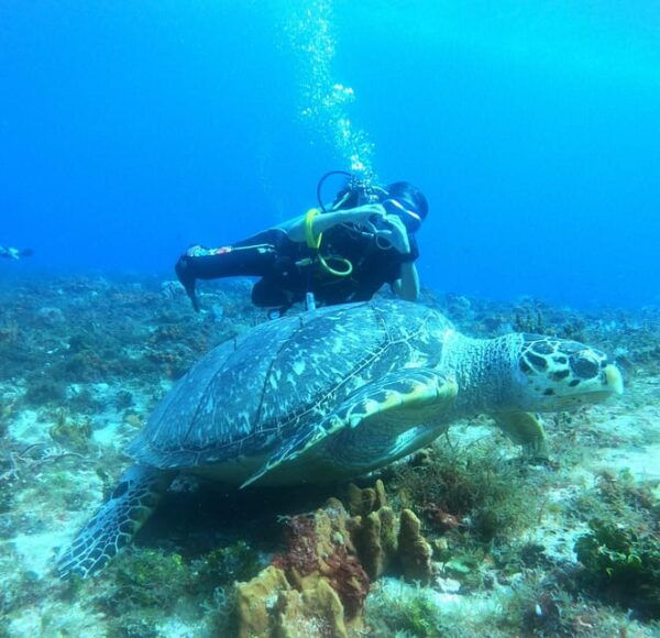 Cozumel: Diving Marine Park 2 Dive Sites - Cancellation Policy